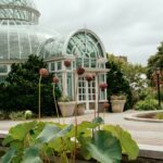 Brooklyn Botanic Garden