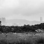 Buildable Lot — South Bronx Opportunity Zone